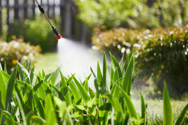 24/7 Emergency Mosquito Control experts in Hollidaysburg, PA